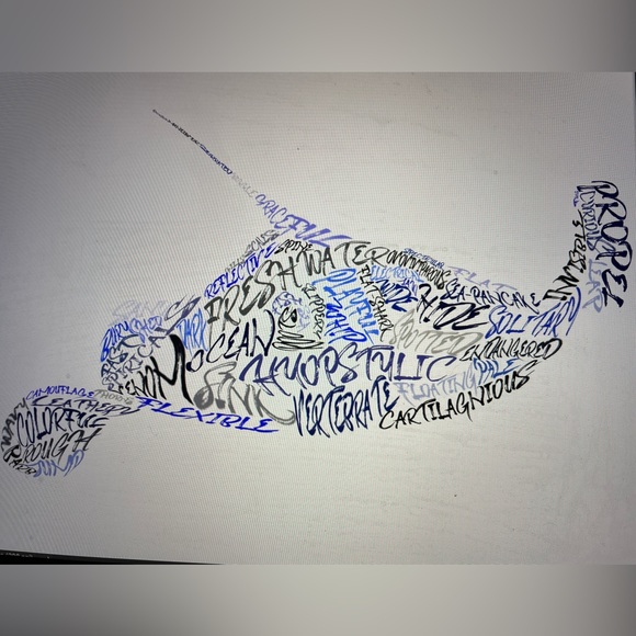 Meet your Posher, Elizabeth Ruiz - Picture 4 of 7